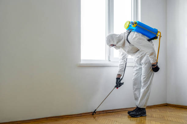 Best Pest Removal Services  in Mckeesport, PA