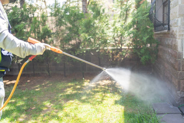 Best Wasp Removal Services  in Mckeesport, PA