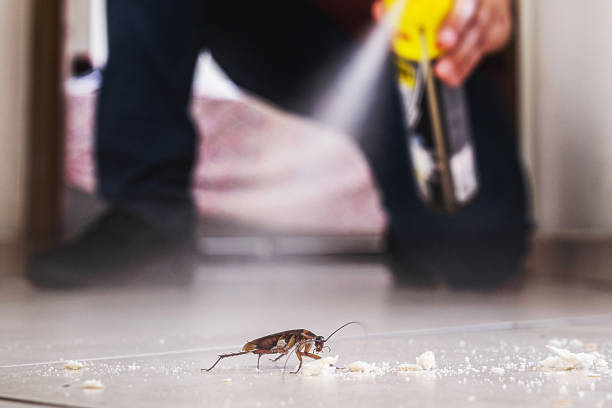 Best Commercial Pest Control Services  in Mckeesport, PA
